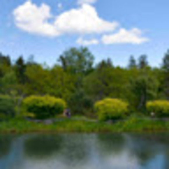 Meet your Posher, Nisha - Picture 1 of 1